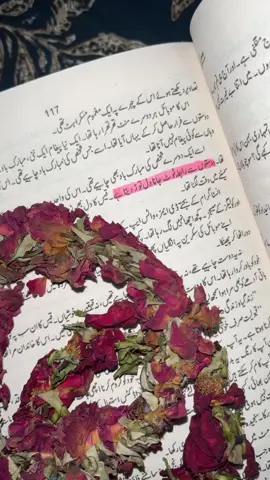 #bismil #bismilnovel #bismilnovellines #qaiskambeer #mehdikambeer #zeeniyahakim 