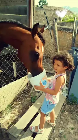 E tu a che età hai scoperto quale fosse il tuo animale preferito? #magicaHelena #animal #animalsoftiktok #magicfamily #haimaivistøunøcømemé #mrZampa 