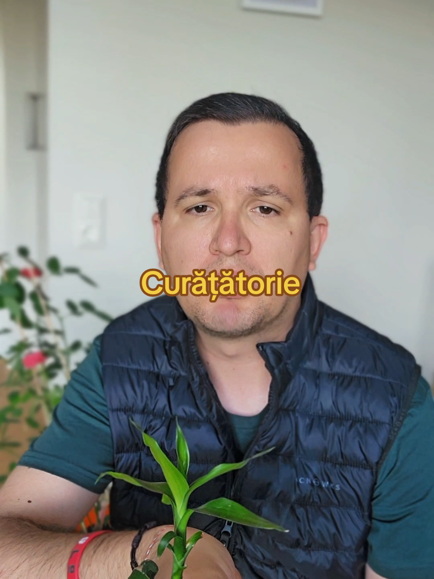 Curățătorie spirituală #tiktokromania #parodie   #CapCut 
