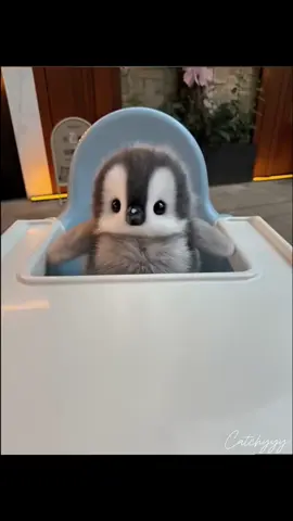 😍😍😍😍 eating time #foryou #Love #penguin #viral #loveit #animals #adorable #little #cute #fluffy #cuteanimals 
