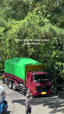 🥺 #fyp #trukganteng #malalasodrek #minangtiktok 