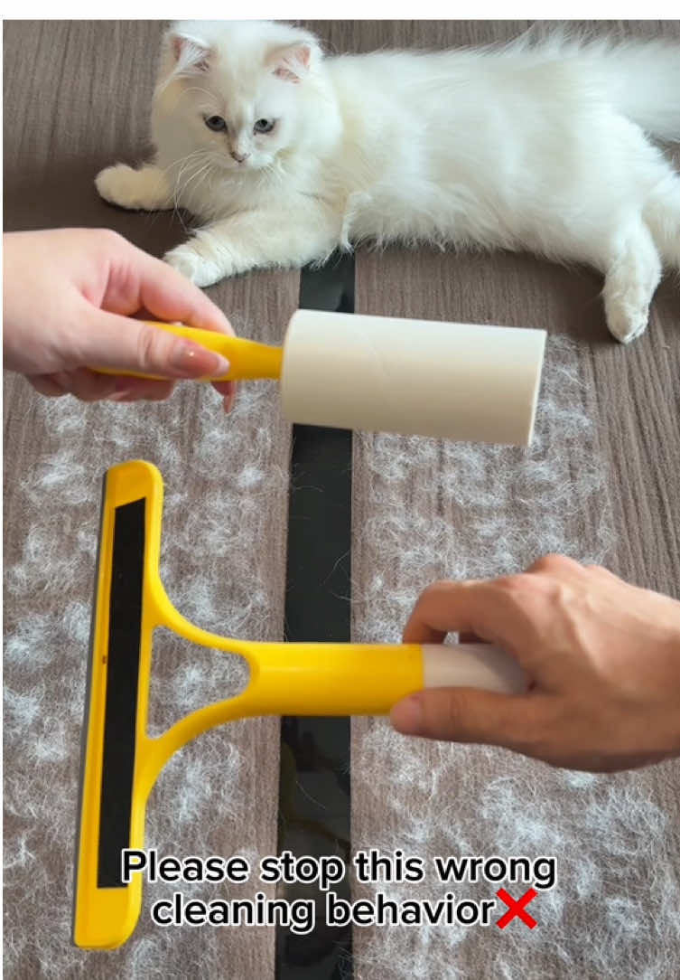 If you have pets and they shed at all, this will save you SO much time!✌️#dealsforyoudays #pethairremoval #petproducts #tiktokshop #tiktokmademebuyit 
