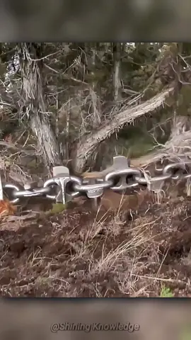 Why Are Bulldozers Dragging a Giant Chain #LearnOnTikTok #factsdaily #unitedstates #facts 