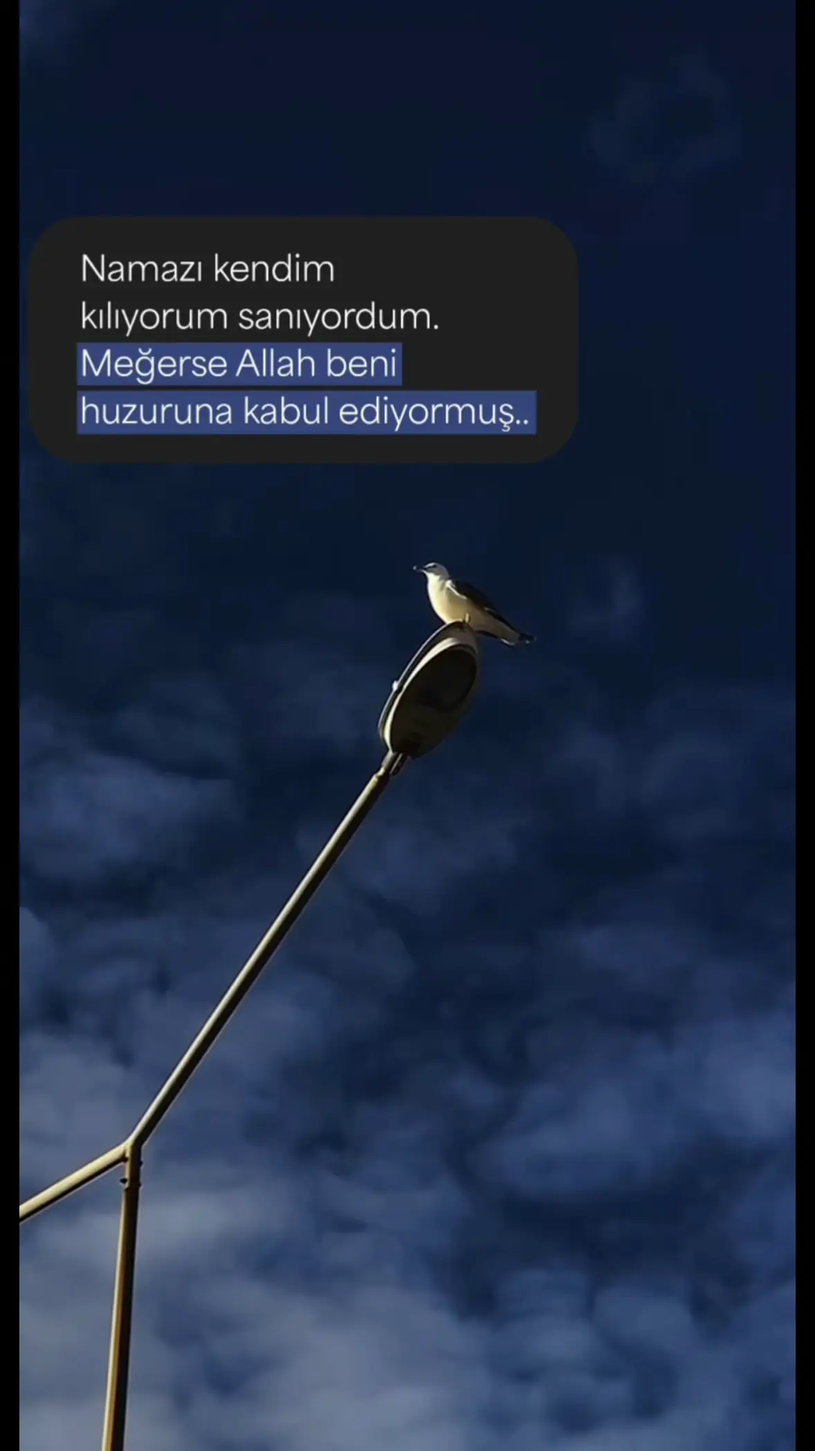 #🤲🤲🤲🤲🤲 