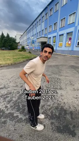 Auf einmal haben sie keine Angst mehr  #tauben #2015 #2025 