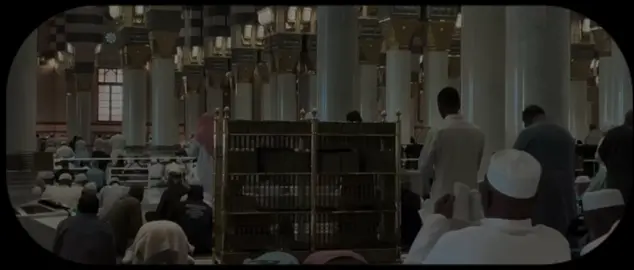 أذكروا الله | البقرة - 200 القارئ: #بدر_التركي 