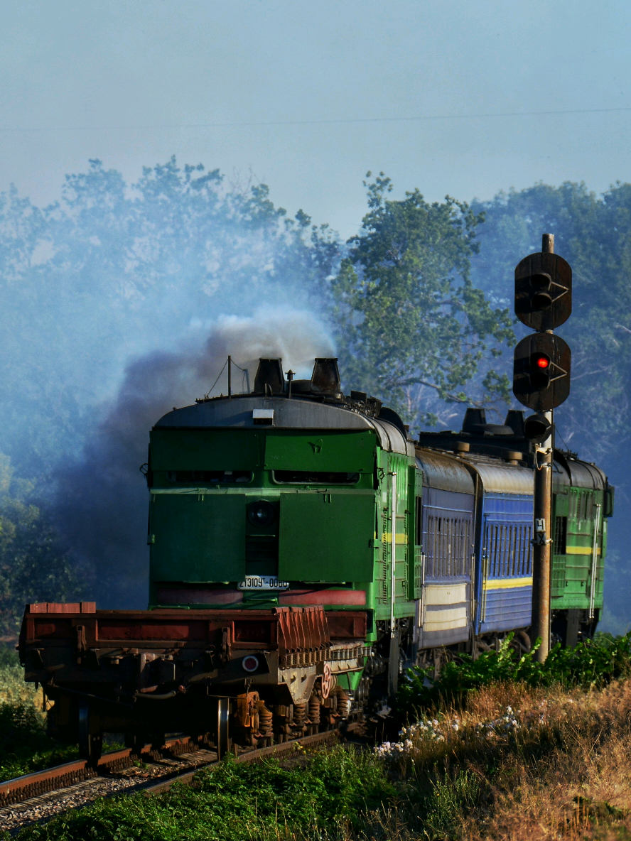 Так сьогодні їздять поїзда на Херсон..#колєя#trainspotting_ukraine#railway#trainspotting#2тэ10ут_0060#2тэ10ут_0036#2те10ут_0036#2те10ут_0060#2те10ут#2те10м#2те10#2тэ10ут#2тэ10м#2тэ10#10д100#локомотив#тепловоз#пдс#поїзд#залізниця#одеськазалізниця#укрзалізниця#1520#миколаїв#херсон#бронепоїзд   #s23ultra#мінтяжмакс 