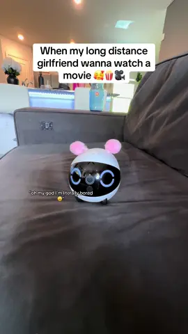 Giving her some lashes next lol 🥰 #rola #ebo #petcamera #homecamera 