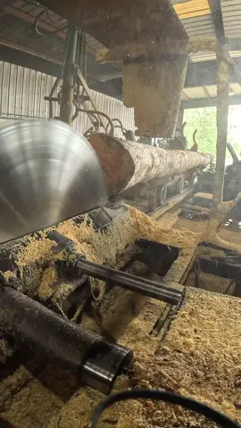 Watch as we mill a 26 foot Southern Yellow Pine log into beautiful 10 x 10 timber using our 66” solid tooth circular saw! This impressive piece of wood showcases the strength and straight grain that makes Southern Yellow Pine so popular for beams and large-scale construction. Enjoy the satisfying process as the saw effortlessly slices through the log, revealing clean, fresh-cut surfaces. Follow along for more sawmill action and woodworking inspiration! #Sawmill #Woodworking #SouthernYellowPine #Timber #Milling #BigSaw #Lumber #SawmillLife #Woodcutting #Carpentry #Logging #SawmillVideo #Woodcraft #LargeTimber #SawmillPorn