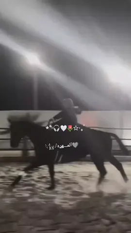 لا يعشق الخيل الا من يشبهها .بثلاث خصال .عنادها... وعزتها .وقوتها🐎♡︎