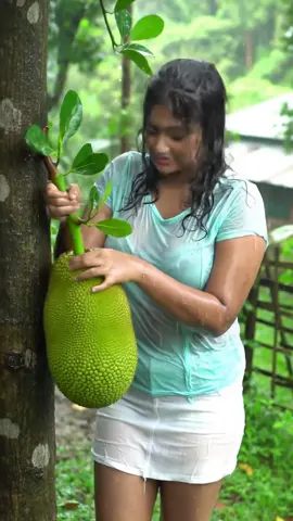 #creatorsearchinsights #india #tamil #tamiltiktokvideos #villagelife #2millionviews #fypシ゚viral #mypage #modeling #sl #trendin #doll #jungle #foryou #CapCut #tamiltiktokvideos #fypシ゚viral @𝐂𝐀𝐏𝐂𝐔𝐓 𝐓𝐄𝐌𝐏𝐋𝐀𝐓𝐄 @tiktok creators 