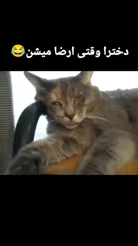 #😂😂😂 