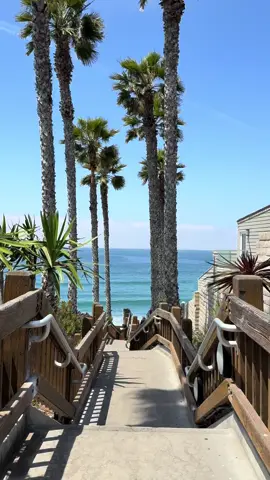 The California tax 🌴🌊👙 #sandiego #vacationmode #californiagirls #sandiegolife #beachvibes #californiadreaming #sandiegocalifornia 