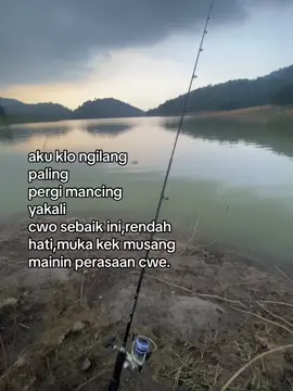 musang gratis kandang🗿#mancing #katakata #hariini #fyp #mancingmania 