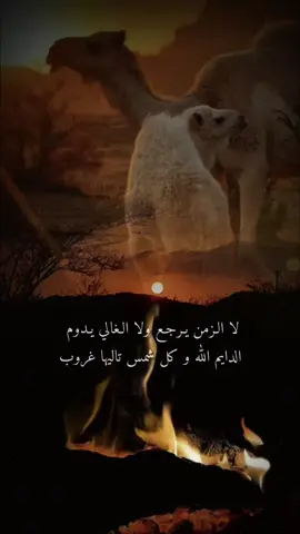 #إكسبلوررررررر_explore #viral #foryou #fyp #ترند_تيك_توك 
