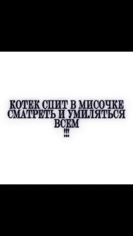 #fyp #cat #котеке #котики