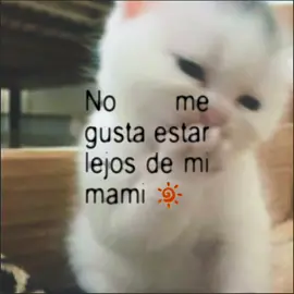 #CapCutAmor 