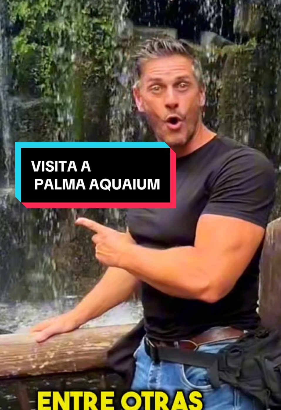 Si te gusta la naturaleza, y el mundo acuático en particular, en Mallorca (España) se encuentra  “El Palma Aquarium” que cuenta con el tanque de tiburones más profundo de Europa, y también destacan la jungla tropical, los jardines mediterráneos, el medusario, la exposición de ballenas, la experiencia de “Dormir con Tiburones”, el Aquadome (cine 3D) y el Shark Vision Boat. Además, cuenta con más de 70 especies de corales y millones de peces de colores en los mares tropicales, y ofrece la oportunidad de bucear con rayas en su laguna… y si andaban con el pendiente, al final si me encontró @albertucho_papucho y se lo pasó en grande!!!! @Palma Aquarium 