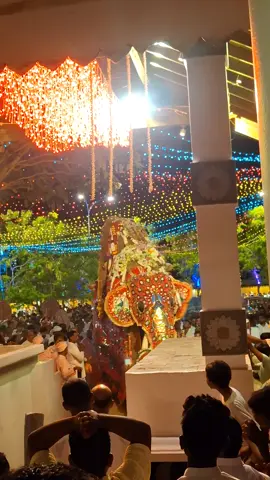 අවසරයි දහ හතරවන දිනට 🌸🙏 #following #followers➕ #trinding #viral #tiktok #foryou #maduranga #katharagama #katharagama2025 