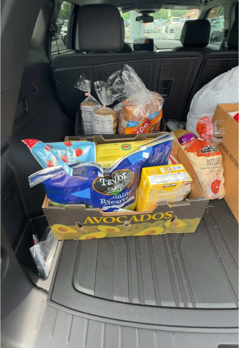 Costco vlog #costco #samples #groceryshopping #vlogs #fyp #viral 