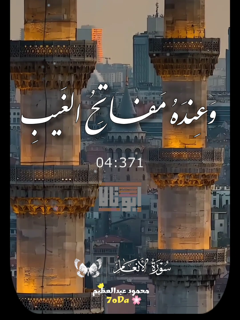 وعنده مفاتح الغيب لا يعلمها الا هو بصوت الكروان الشيخ محمود الشحات انور 🦩  - - - - #الشيخ_محمود_الشحات_انور #قران_كريم 