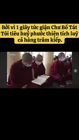 🍃 Bởi vì 1 giây tức giận Chư Bồ Tát Tôi tiêu huỷ phước thiện tích luỹ  cả hàng trăm kiếp. #ommanipadmehum #quantheambotat  #gratefuluniverse #happyeveryday🥰🌈 #dalailama #peace 