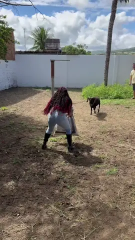 Agora Chico pegou pesado