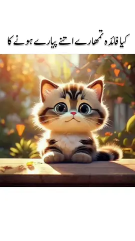 #funny #catfunny #funnytiktok #cat #fouryou #fyp #100kviews 