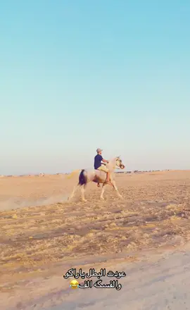 #ياراكو #خيل_وخياله🐎 #اكسبلور #مشاهير_تيك_توك #ابطال #العالم #tiktok #لايك__explore___ #trending #viral #viralvideo #youtube #viral #bc @حماده الحجلات الجميلي🎠Hamada 