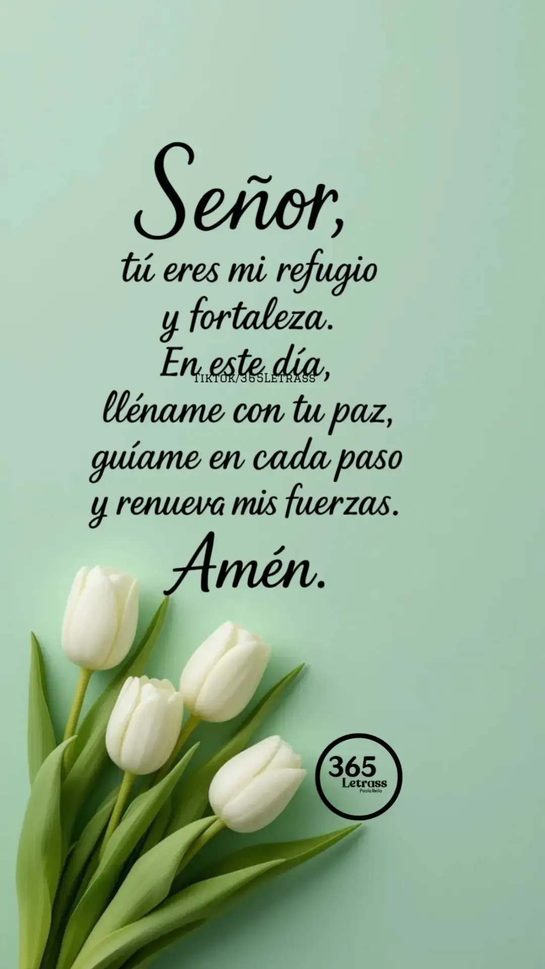 #felizdia #bendiciones🙏❤️ #buenosdias 