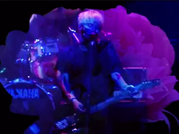 Amo este riff #radiohead #thomyorke #pablohoney #flower #foryouu #fypp