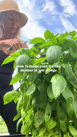 Easy PESTO!  2 cups fresh basil leaves (packed) 1/2 cup freshly grated Parmesan cheese 1/3 cup macadamia nuts (traditional recipes call for pine nuts or walnuts) 2–3 cloves garlic, peeled 1/2 cup extra-virgin olive oil Salt, to taste (about 1/4 tsp to start)   Blend. It’s that easy! #pesto #EasyRecipe #italianfood #gardenfreshherbs 