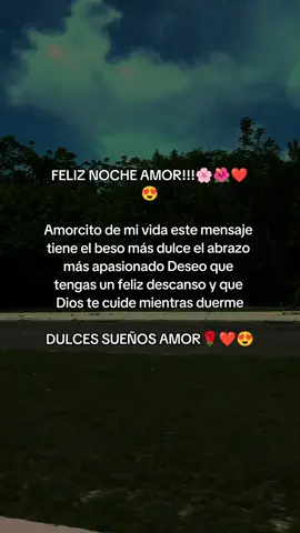 feliz noche mi Amor#amorreal #conexion #amor #lovestory #teamo #dedicar #frasesdeamor💕 #foryourpage #tiktokusa #viraltiktok 