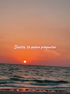Coleccionando heridas.. ✨#karolg #bichota #labichota #letrasdecanciones #coleccionandoheridas #desamor #letrasdemusicas #parati #viralvideo #viral #fypシ #fyp 