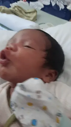 MasyaAlalh Tabarakallah  Anak mamah 20hari sukanya nyoro nyoro... Ada yang samaan g nih bun???? #newborn #newbornbaby #baby #babylove #babytiktok #anakbayi #bayilucu #bayitiktok #bayigemes #bayiviral 