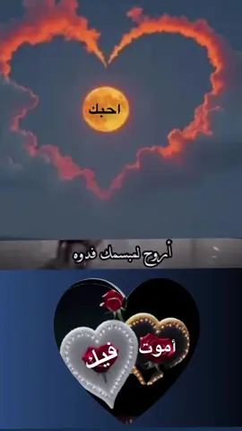 #احبك🌹❤️🌹#اكسبلور 