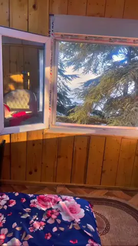 #الحظيرة_الوطنية_الشريعة❄☃️❤ #parcnationalchreablida🏔🎡❄️🌨⛄️ #louction_chalet #youyoumiller #chreablida09 #blida09_tiktok_algérie❤️🇩🇿 #شعب_الصيني_ماله_حل😂😂 