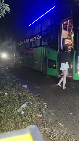 Xe nào cũng cho mình 1 con gấu thì tuỵt 🫣#viral #ql14 #xekhachtiktok #48daknong 