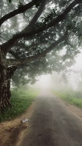 Exploring a hidden gem of Bangladesh🇧🇩 #foryou #foryoupage #fyb #fy #ctg #viral #fypage #riding #pahar #rain #bandarban #sajek #clouds #views 