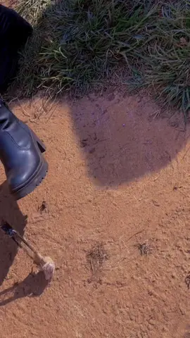 Eu não sei porque, mas eu gosto de matar as aranhas…