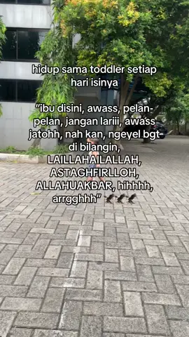 capek bgt jagain toddler, tp seru🥲 #ibudananak #toddler #fyp #bayilucu #masyaallahtabarakkallah #fypシ゚ 