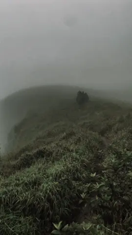 I like to talk with dark nature 🥺🤍🍃 #travelerseye #traveling #traveltiktok #travelvideo #welcomehome #billieeilish #traveler #foru #foruyou #fyp #visitsrilanka #virl #kabaragala #dolosbage 