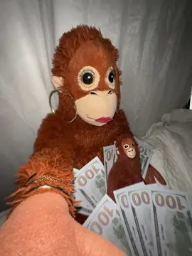 💸🗣️ #money #richmonkey #rich #monkey #ikea #fyp #usa #explore #ikeamonkey #trend #thirstrap #video #🦧 #famous #viral #foryouuu #fyppppp 