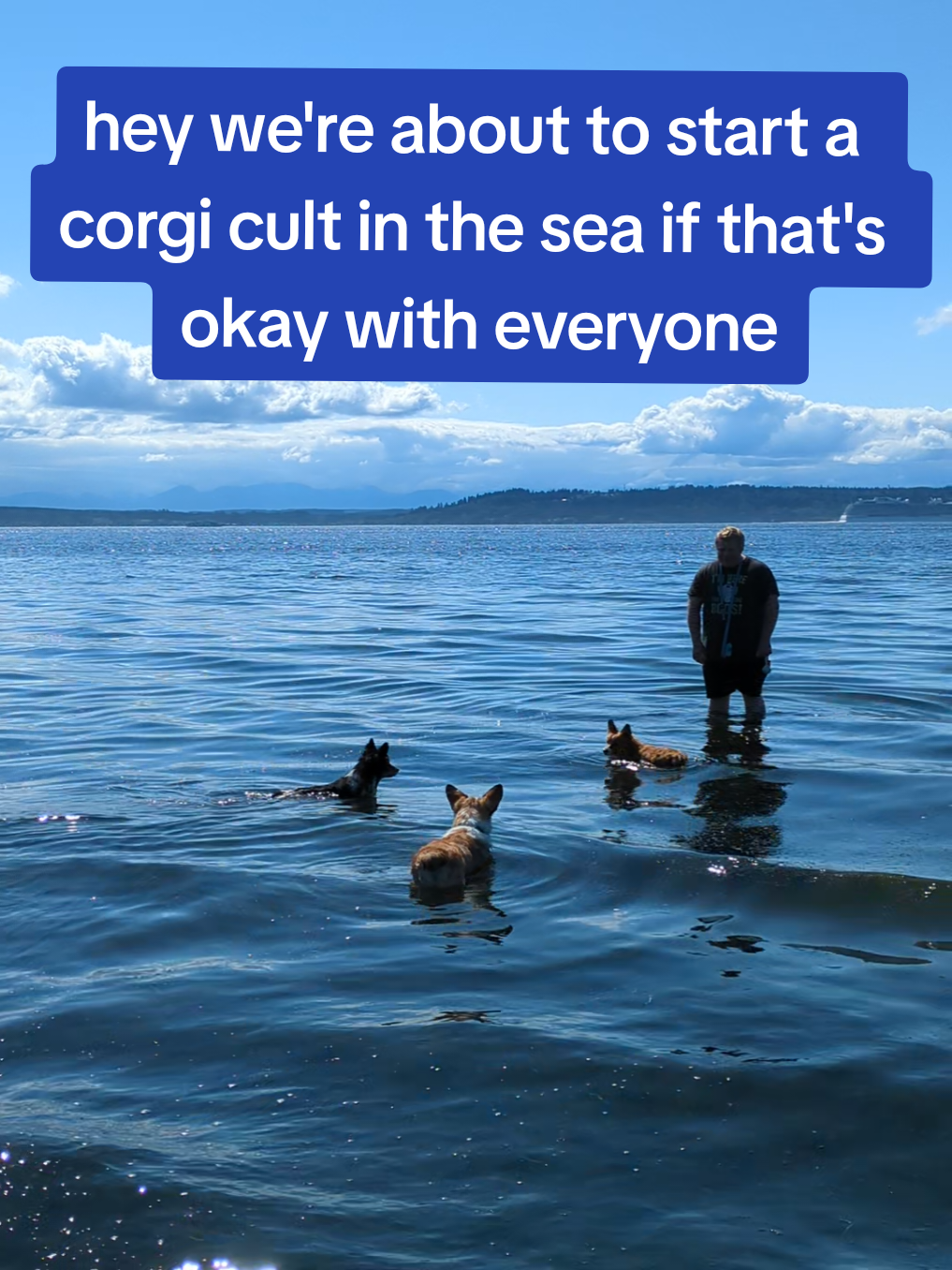 hey we're about to start a corgi cult in the sea if that's okay with everyone #TheCorgiTrio #AquaCorgis #DogBeachDay