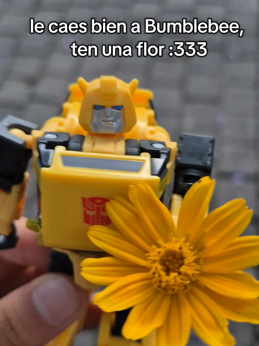 no c chaval, solo subo lo primero que se me hace aesthetiks a este punto #transformers #bumblebee #transformersfigures #transformersg1 #flowers #fypシ゚ #garbanzos #fyp #fypp #idk 