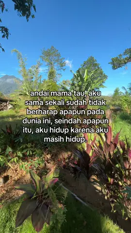 udah 313 hari ma dan ini sangat berat😢 #rindumama #alfatihah 