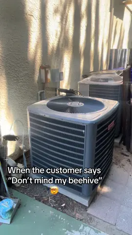 #HVAC #bees #ialmostdied