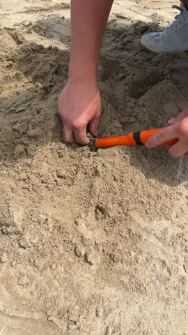 Раскопка  монет