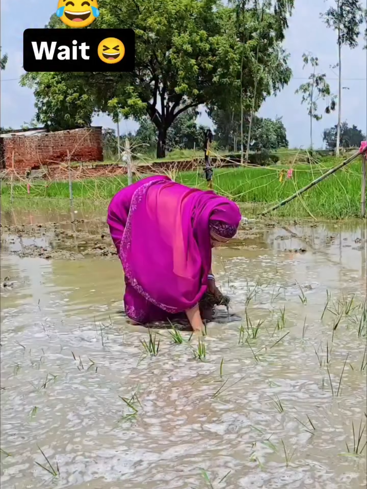 Wait For Ending 🤣🤣😆#tiktokfunnyvideos #nickyteja06 #reelkarofeelkaro #viralvideos #ambaniwedding #viral #trending