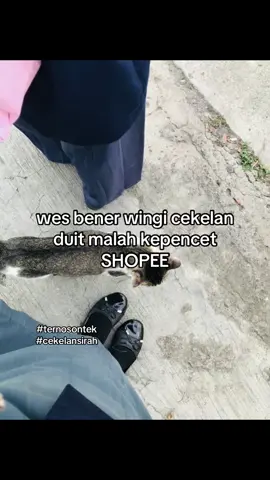 #fy #fyp #fypシ #viral #masukberandafyp #lewatberandafyp #4u #4upage #trending #xybca